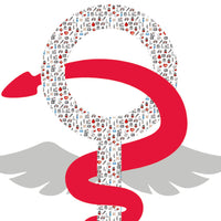 Caducée Aide-Soignante 2026 - Modèle fantaisie - détail du design - Autocollant pour pare-brise voiture en vitrophanie 