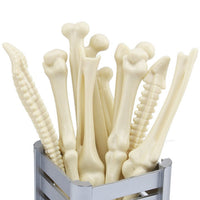Stylos à bille en forme d'os - La boutique des infirmières